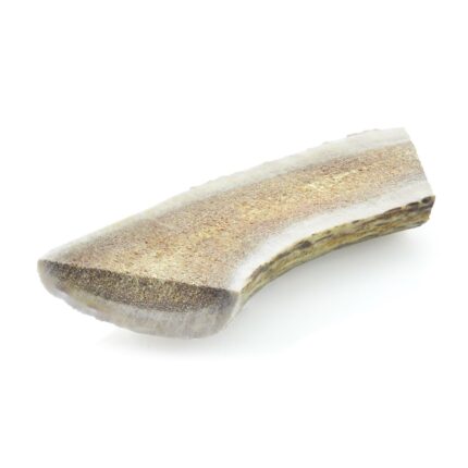 Small Split Elk Antler (1 Count)